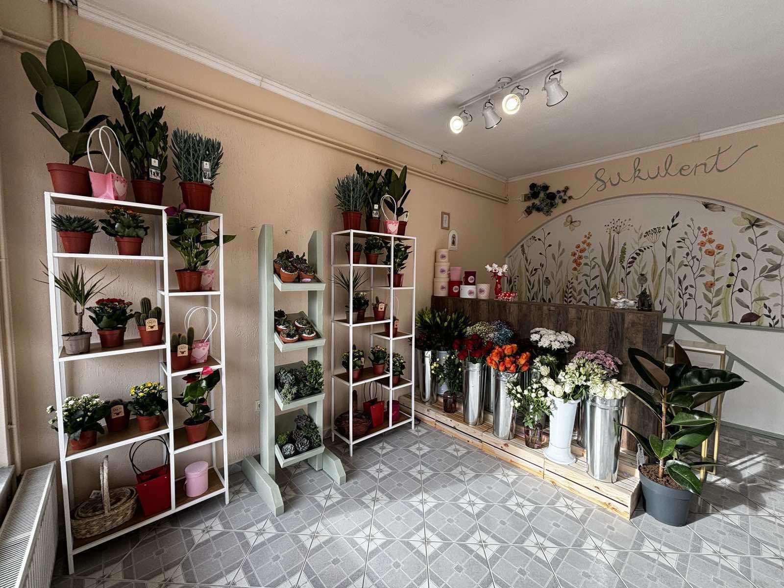 Nova cvjećara u Kotor Varošu: Poklon-shop “Sukulent”